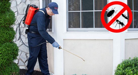 Etimesgut Dezenfeksiyon böcek ilaçlama ve haşere kontrolü — ilaclama-tr.com